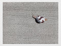 Snail Edition #5 by Lucas Zallmann