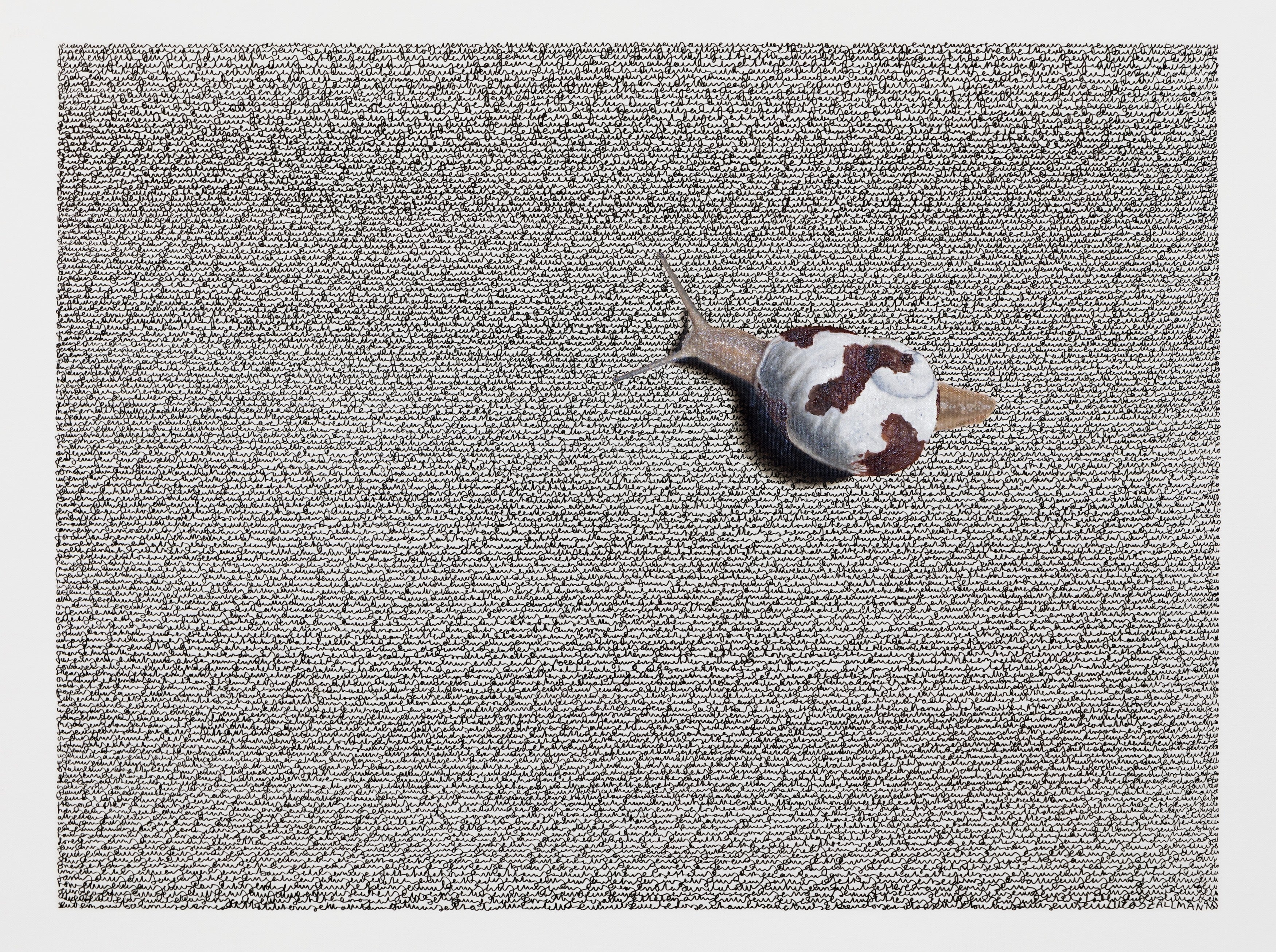 Snail Edition #5 by Lucas Zallmann