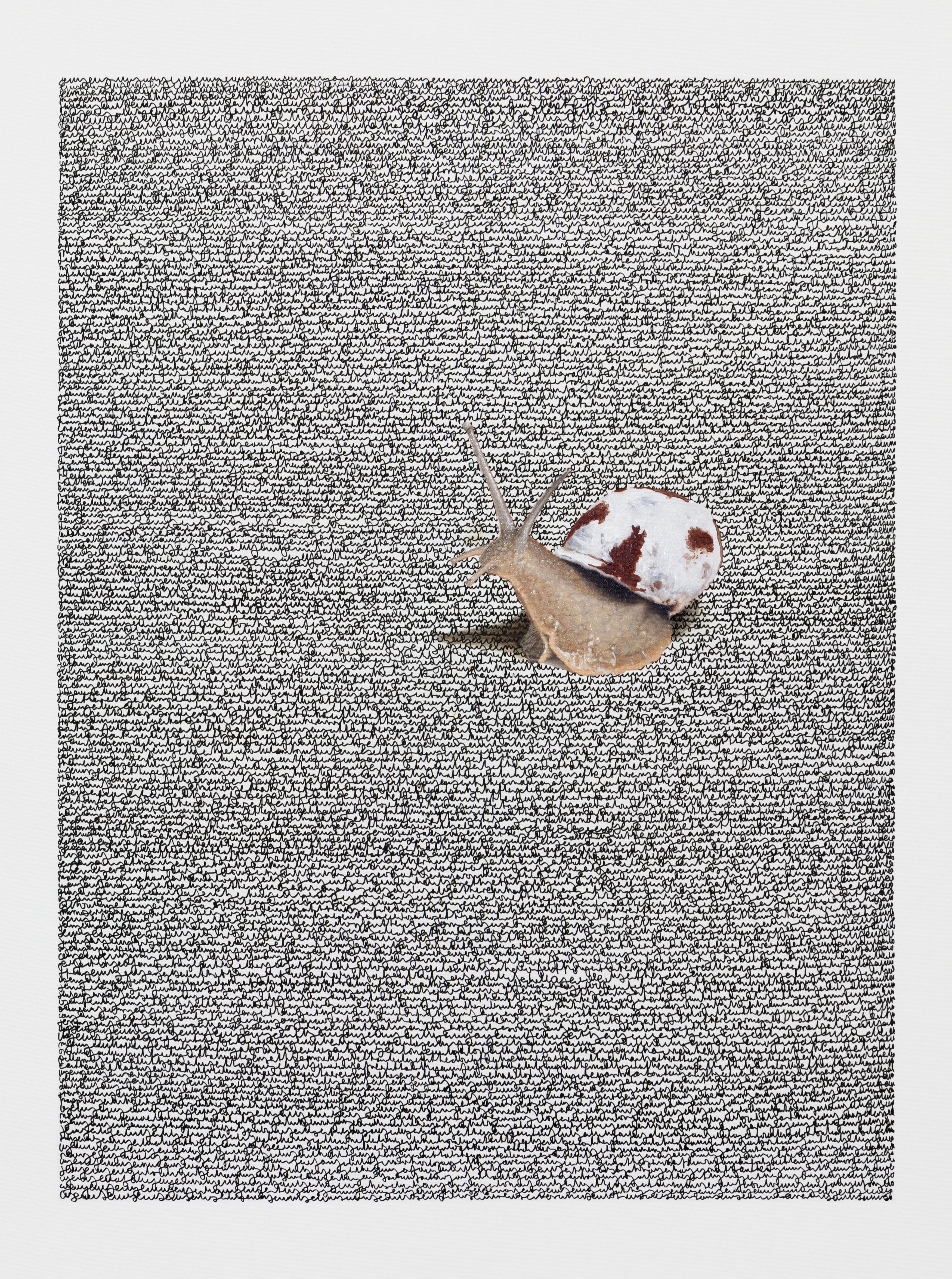Snail Edition #4 by Lucas Zallmann