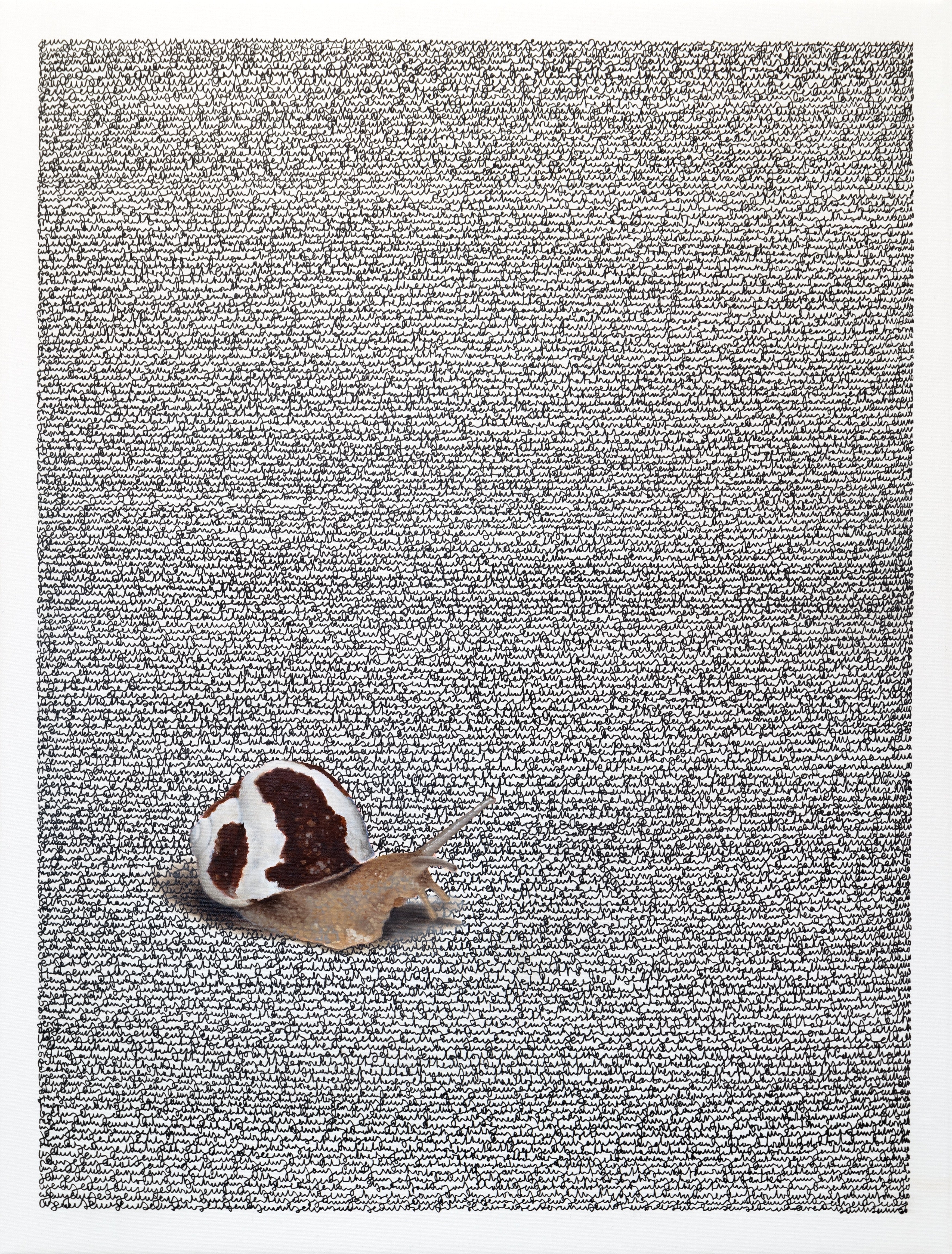 Snail Edition #1 by Lucas Zallmann