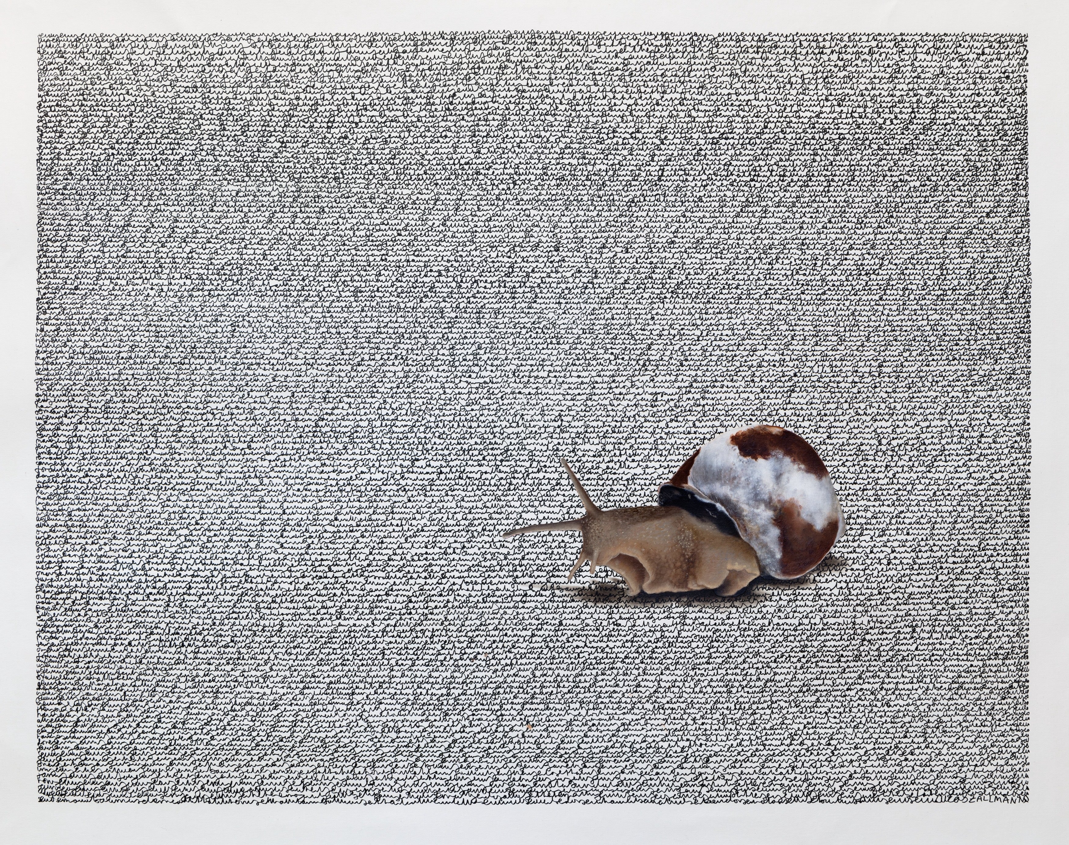 Snail Edition #2 by Lucas Zallmann